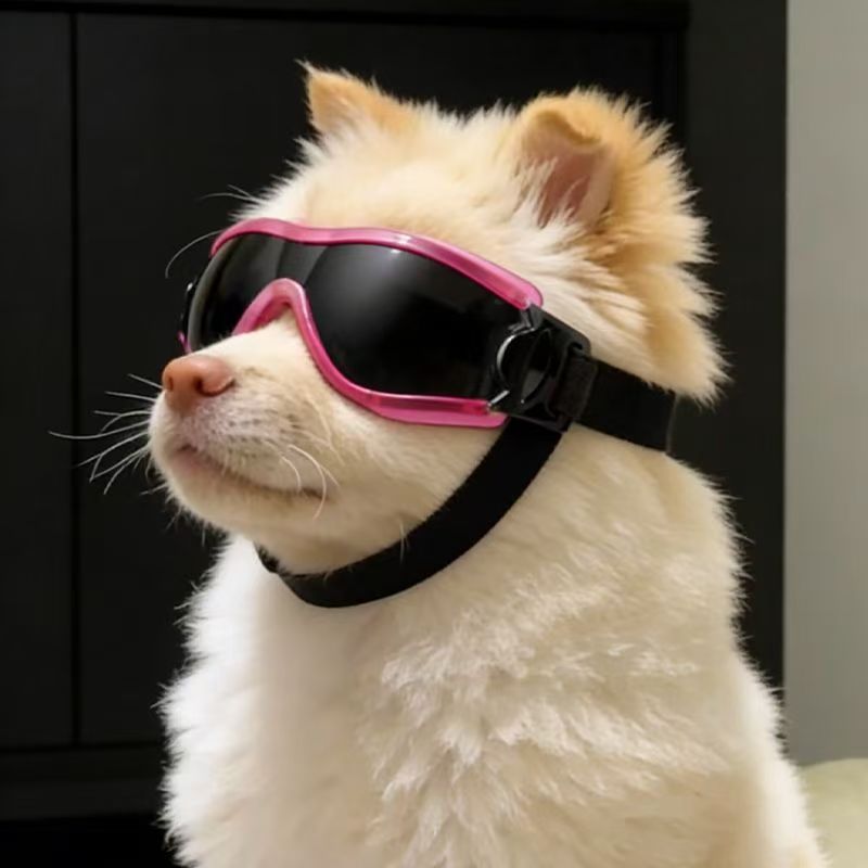 Dog Goggles for Small Medium D - Sunglass Retainer Cord review and price
